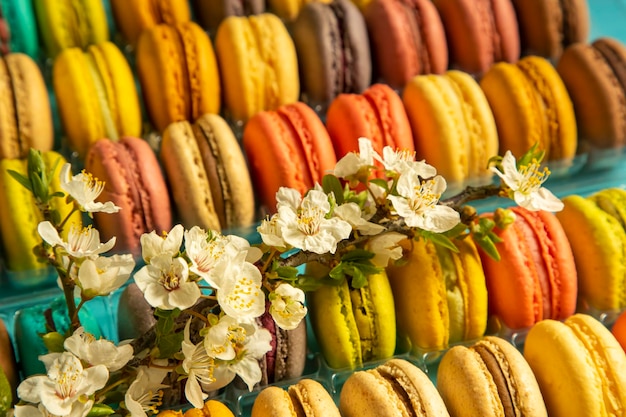 Gros plan de gâteaux macarons de différentes couleurs sur fond bleu. Concept culinaire et de cuisine. Savoureux macarons colorés.