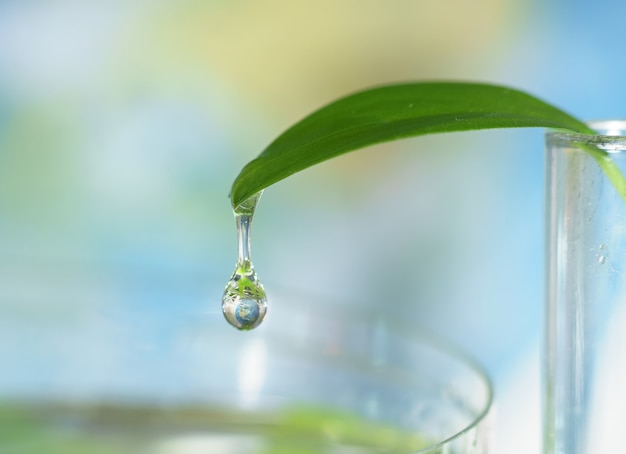 Gros plan, goutte eau, à, reflet sphère terre