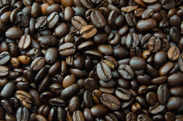 gros plan de grains de café arabica torréfiés