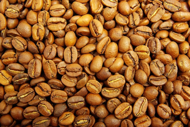 Gros plan sur les grains de café aromatiques