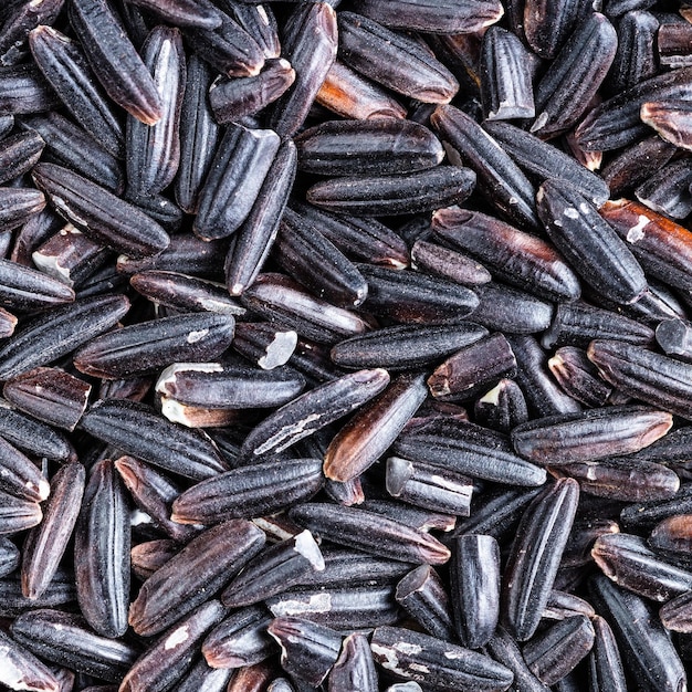 Gros plan de grains de riz noir cru