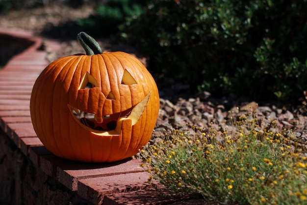 gros plan sur une grande citrouille d'halloween dans le jardin de la maison