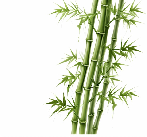 un gros plan d'une grande plante de bambou avec des feuilles vertes générative ai