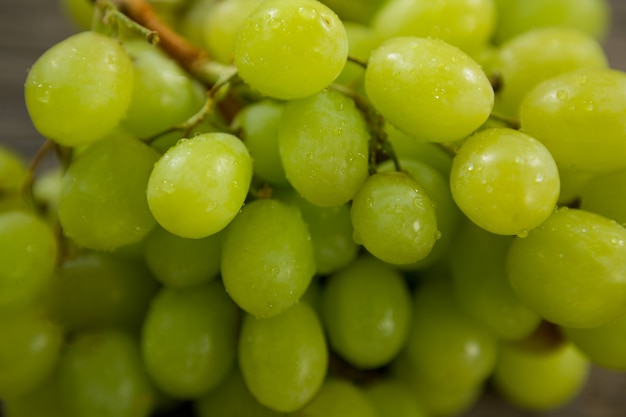 Gros plan de grappe de raisin vert avec des gouttelettes d'eau