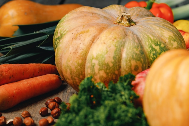 Gros plan de grosse citrouille avec queue