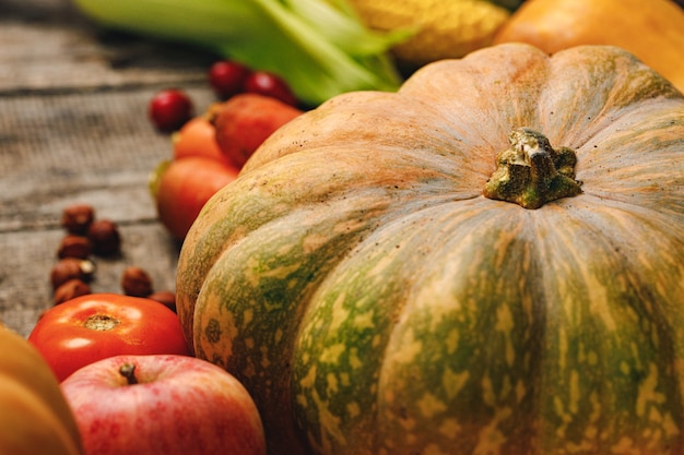 Gros plan de grosse citrouille avec queue