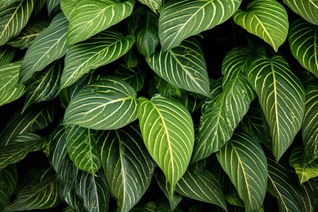 un gros plan d'un groupe de feuilles vertes sur une plante générative ai