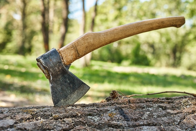 Gros plan de la hache dans un arbre abattu dans la forêt