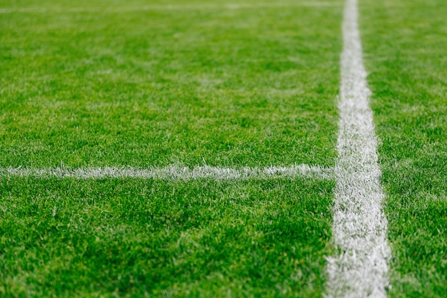 Gros plan d&#39;herbe et de marques sur le terrain de football ou de soccer