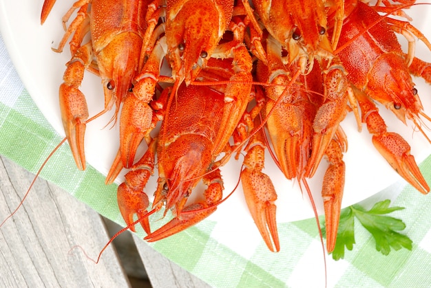 Gros plan, de, homards frais