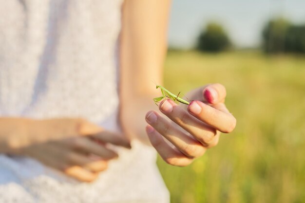 Gros plan sur un insecte mante verte dans la main de la fille.