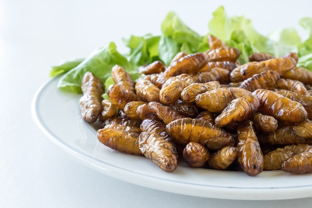 Gros plan d&#39;insectes frits dans un plat sur fond blanc