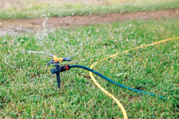 Gros plan sur l'irrigation de la pelouse Système d'arrosage automatique arrosant la pelouse en gros plan Photo de haute qualité