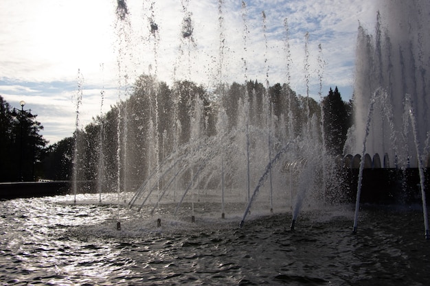 Photo gros plan des jets d'eau d'une fontaine dans le parc