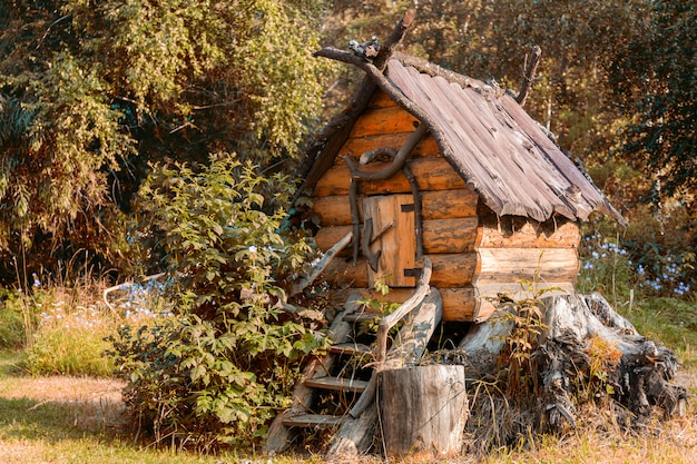 Gros plan, de, a, jouet, maison bois, dans, jardin