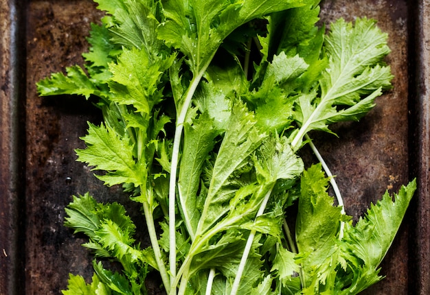 Gros plan de légume-feuilles bio vert sur fond en bois