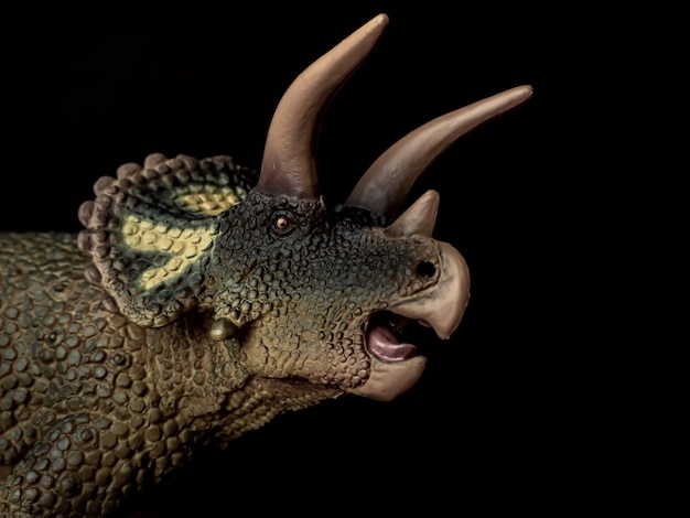 Un gros plan d'un lézard sur un fond noir