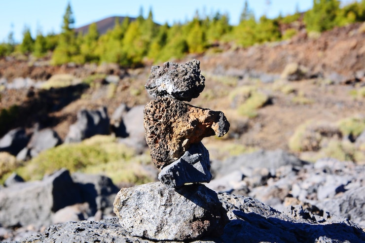 Photo un gros plan d'un lézard sur une roche