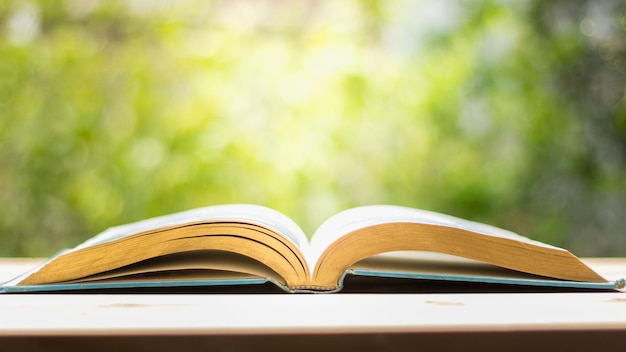 Gros plan livre ouvert