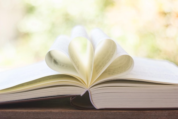Gros plan livre ouvert
