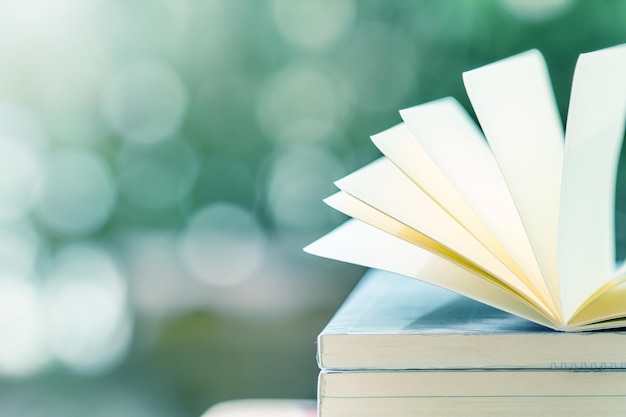 Un gros plan des livres.
