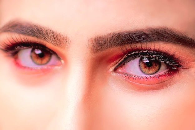 Gros plan macro de beaux yeux féminins avec des sourcils de forme parfaite