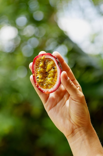 Gros plan d'une main féminine tenant des fruits de la passion frais et mûrs