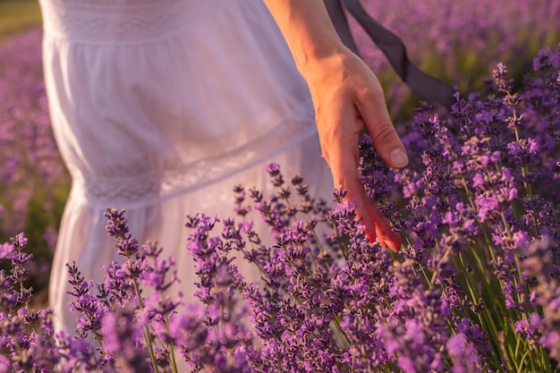 Gros plan sur la main d'une jeune femme heureuse en robe blanche sur des champs de lavande parfumés en fleurs avec