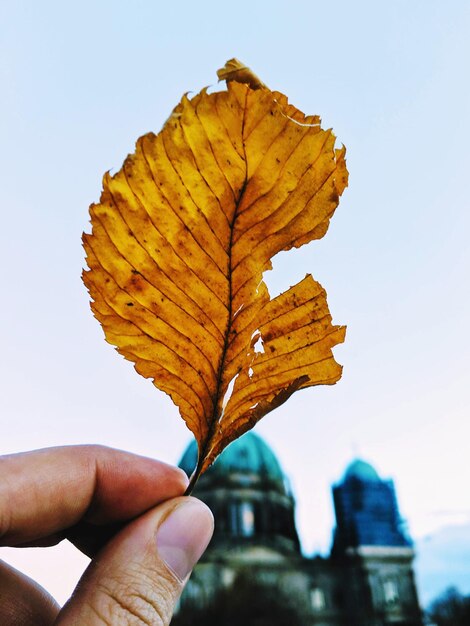 Gros plan d'une main tenant une feuille d'automne contre le ciel