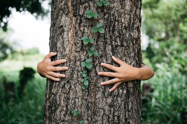 Gros plan des mains de l'enfant étreignant l'arbre avec espace de copie. Amoureux de la nature. Concept d'activisme environnemental