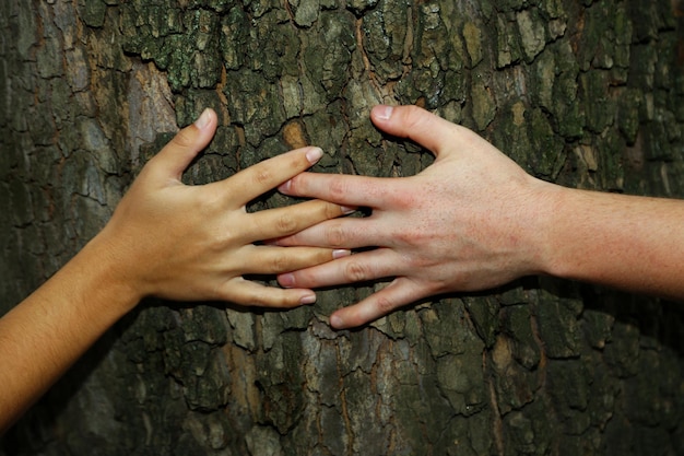 Gros plan des mains étreignant l'arbre