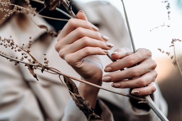 Gros plan des mains féminines détient une plante. Belle manucure