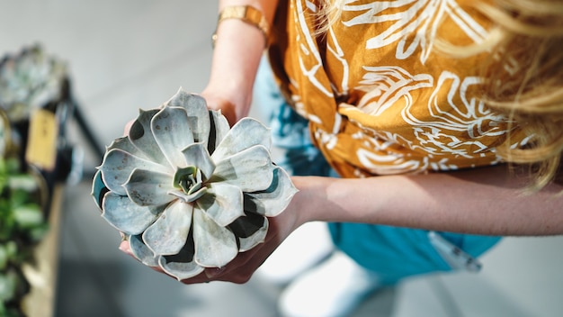 Gros plan des mains de femme tenant une fleur en pot