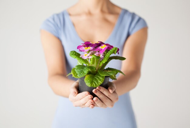 gros plan des mains de la femme tenant une fleur en pot