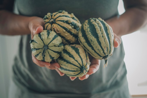 Gros plan des mains de femme tenant et montrant des citrouilles vertes concept d'octobre style de vie et nourriture légumes et ingrédients crus style de vie des gens d'automne cuisine intérieure à la maison produits agricoles