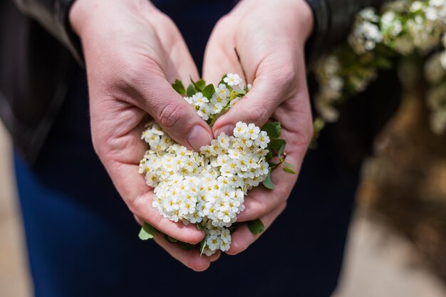 Gros plan, mains, fleurs Fleurs blanches en forme de coeur.