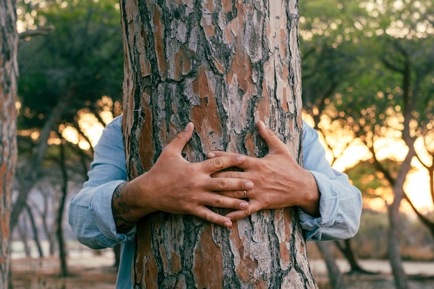 Gros plan des mains d'homme serrant un tronc d'arbre dans le parc Personnes et protection de la nature environnement style de vie Activité de loisirs en plein air Sauver la planète terre Amour nature fond protection humaine