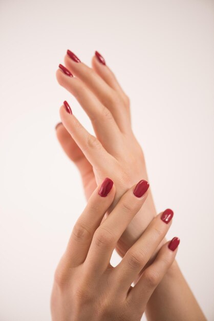 gros plan des mains d'une jeune femme avec une longue manucure rouge sur les ongles sur fond blanc