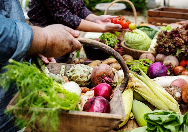 Gros plan des mains tenant un panier en bois avec des légumes biologiques frais à l&#39;intérieur