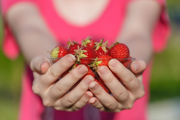 Gros plan, mains, tenue, frais, fraises