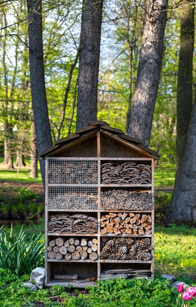 Gros plan d'une maison bio-écologique artificielle pour une sorte d'abeilles et d'insectes dans la nature