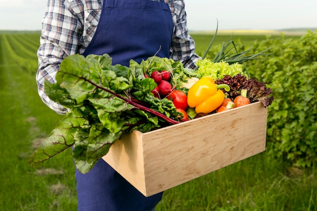 Gros plan, mâle, tenue, panier, légumes