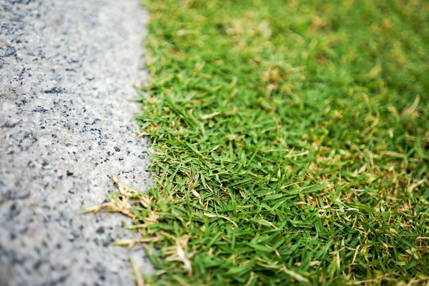 Gros plan et marche en pierre plate macro à côté du champ d'herbe pour le fond.