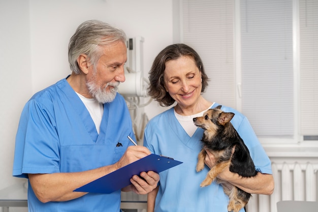 Gros plan sur un médecin vétérinaire prenant soin d'un animal de compagnie