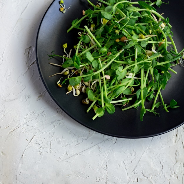 Gros plan de micro-verts frais. De plus en plus de germes pour salade sur une assiette. Alimentation équilibrée