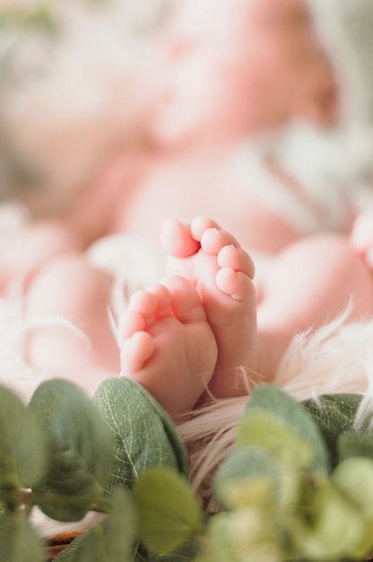 Photo gros plan, minuscule, bébé, pieds