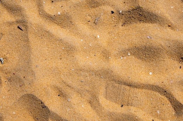 gros plan de modèle de sable d&#39;une plage en été