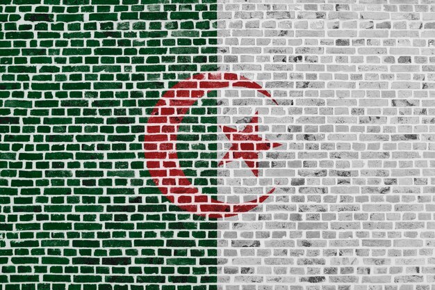 Gros plan sur un mur de briques avec le drapeau de l'Algérie peint dessus