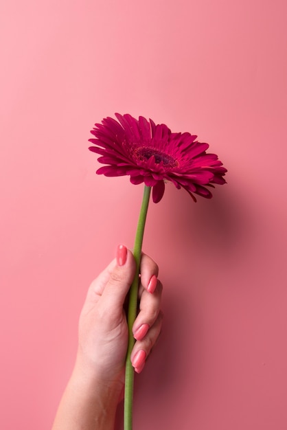 Photo gros plan sur le nail art beauté