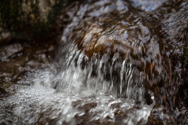 Gros plan nature photo d'un beau ruisseau coulant sur les rochers dans la forêt